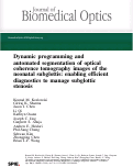 Cover page: Dynamic programming and automated segmentation of optical coherence tomography images of the neonatal subglottis: enabling efficient diagnostics to manage subglottic stenosis