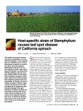 Cover page: Host-specific strain of Stemphylium causes leaf spot disease of California spinach