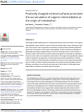 Cover page: Positively charged mineral surfaces promoted the accumulation of organic intermediates at the origin of metabolism.