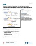 Cover page: Rad51 Paralogs Remodel Pre-synaptic Rad51 Filaments to Stimulate Homologous Recombination