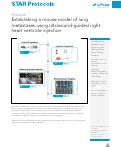 Cover page: Establishing a mouse model of lung metastases using ultrasound-guided right heart ventricle injection