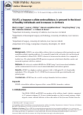 Cover page: SULF2, a heparan sulfate endosulfatase, is present in the blood of healthy individuals and increases in cirrhosis