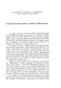 Cover page: Isopodi sotterranei italiani