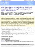 Cover page: AMPK-mediated potentiation of GABAergic signalling drives hypoglycaemia-provoked spike-wave seizures