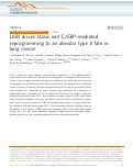 Cover page: LKB1 drives stasis and C/EBP-mediated reprogramming to an alveolar type II fate in lung cancer