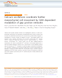 Cover page: Calcium oscillations coordinate feather mesenchymal cell movement by SHH dependent modulation of gap junction networks