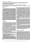 Cover page: Expression of growth factors and oncogenes in normal and tumor-derived human mammary epithelial cells