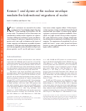 Cover page: Kinesin-1 and dynein at the nuclear envelope mediate the bidirectional migrations of nuclei