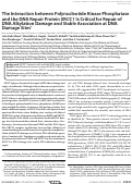 Cover page: The Interaction between Polynucleotide Kinase Phosphatase and the DNA Repair Protein XRCC1 Is Critical for Repair of DNA Alkylation Damage and Stable Association at DNA Damage Sites*