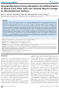 Cover page: Uniaxial Mechanical Strain Modulates the Differentiation of Neural Crest Stem Cells into Smooth Muscle Lineage on Micropatterned Surfaces