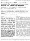 Cover page: Functional capacity of XRCC1 protein variants identified in DNA repair-deficient Chinese hamster ovary cell lines and the human population