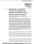 Cover page: Examination of intestinal ultrastructure, bowel wall apoptosis and tight junctions in the early phase of sepsis.