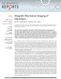 Cover page: Magnetic Resonance Imaging of Electrolysis.