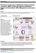 Cover page: Proteome Landscape of Epithelial-to-Mesenchymal Transition (EMT) of Retinal Pigment Epithelium Shares Commonalities With Malignancy-Associated EMT.