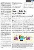 Cover page: How cells hush a viral invader