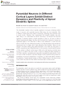 Cover page: Pyramidal Neurons in Different Cortical Layers Exhibit Distinct Dynamics and Plasticity of Apical Dendritic Spines.