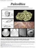 Cover page: Paleogene marine bivalves of the deep-water Keasey Formation in Oregon, Part II: The pteriomorphs