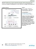 Cover page: EMILIN1 deficiency causes arterial tortuosity with osteopenia and connects impaired elastogenesis with defective collagen fibrillogenesis.