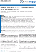 Cover page: Multiple distinct small RNAs originated from the same microRNA precursors