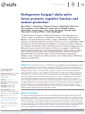 Cover page: Endogenous Syngap1 alpha splice forms promote cognitive function and seizure protection