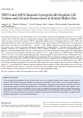 Cover page: TRPV4 and AQP4 Channels Synergistically Regulate Cell Volume and Calcium Homeostasis in Retinal Müller Glia