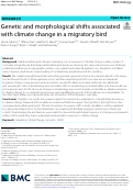 Cover page: Genetic and morphological shifts associated with climate change in a migratory bird.