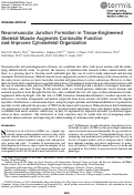 Cover page: Neuromuscular Junction Formation in Tissue-Engineered Skeletal Muscle Augments Contractile Function and Improves Cytoskeletal Organization