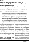 Cover page: Dynamic regulation of gonadal transposon control across the lifespan of the naturally short-lived African turquoise killifish