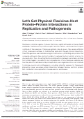 Cover page: Let’s Get Physical: Flavivirus-Host Protein–Protein Interactions in Replication and Pathogenesis