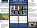 Cover page of Reptiles and Restoration: Coverboard Monitoring before and after Wetland Reconstruction