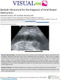 Cover page: Bedside Ultrasound for the Diagnosis of Small Bowel Obstruction