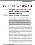 Cover page: Using Drosophila as an integrated model to study mild repetitive traumatic brain injury