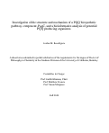 Cover page: Investigation of the structure and mechanism of a PQQ biosynthetic pathway component, PqqC, and a bioinformatics analysis of potential PQQ producing organisms.