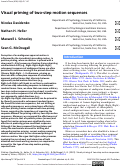 Cover page: Visual priming of two-step motion sequences.