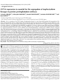 Cover page: OCT-4 expression is essential for the segregation of trophectoderm lineages in porcine preimplantation embryos.