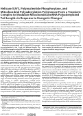 Cover page: Helicase SUV3, Polynucleotide Phosphorylase, and Mitochondrial Polyadenylation Polymerase Form a Transient Complex to Modulate Mitochondrial mRNA Polyadenylated Tail Lengths in Response to Energetic Changes*