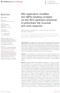 Cover page: RSV replication modifies the XBP1s binding complex on the IRF1 upstream enhancer to potentiate the mucosal anti-viral response.