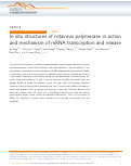 Cover page: In situ structures of rotavirus polymerase in action and mechanism of mRNA transcription and release