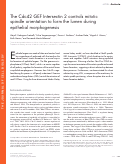 Cover page: The Cdc42 GEF Intersectin 2 controls mitotic spindle orientation to form the lumen during epithelial morphogenesis