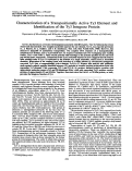 Cover page: Characterization of a transpositionally active Ty3 element and identification of the Ty3 integrase protein.