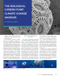 Cover page: The Biological Carbon Pump: Climate Change Warrior