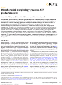 Cover page: Mitochondrial morphology governs ATP production rate.