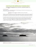 Cover page: One Beat in the Infinite Heart of Haida Gwaii
