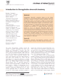 Cover page: Introduction to Strongyloides stercoralis Anatomy.