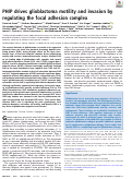 Cover page: PHIP drives glioblastoma motility and invasion by regulating the focal adhesion complex