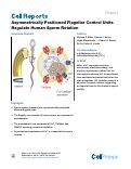 Cover page: Asymmetrically Positioned Flagellar Control Units Regulate Human Sperm Rotation.