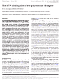 Cover page: The NTP binding site of the polymerase ribozyme