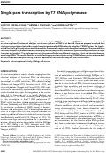 Cover page: Single-pass transcription by T7 RNA polymerase