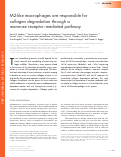 Cover page: M2-like macrophages are responsible for collagen degradation through a mannose receptor–mediated pathway