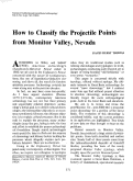 Cover page: How to Classify the Projectile Points from Monitor Valley, Nevada